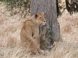 Western_Corridor2009-117